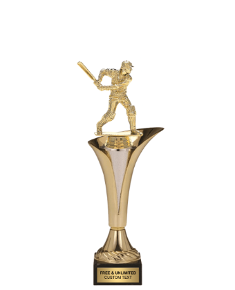 Typhoon Cricket Batsman Trophy  | Custom Engraved