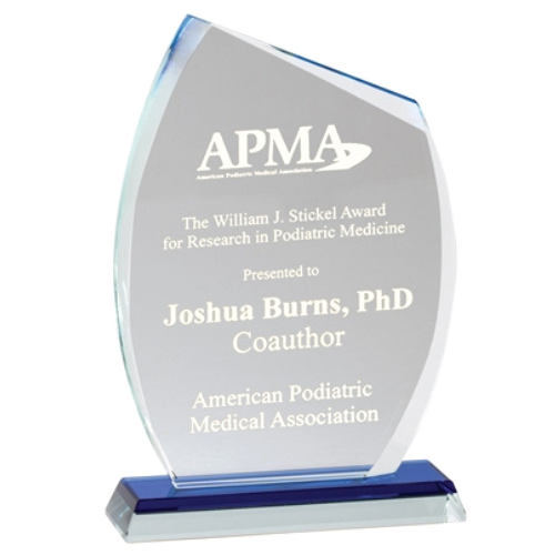 Blue Denali Premium Crystal Trophy